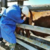 управление ветеринарии Тюменской области