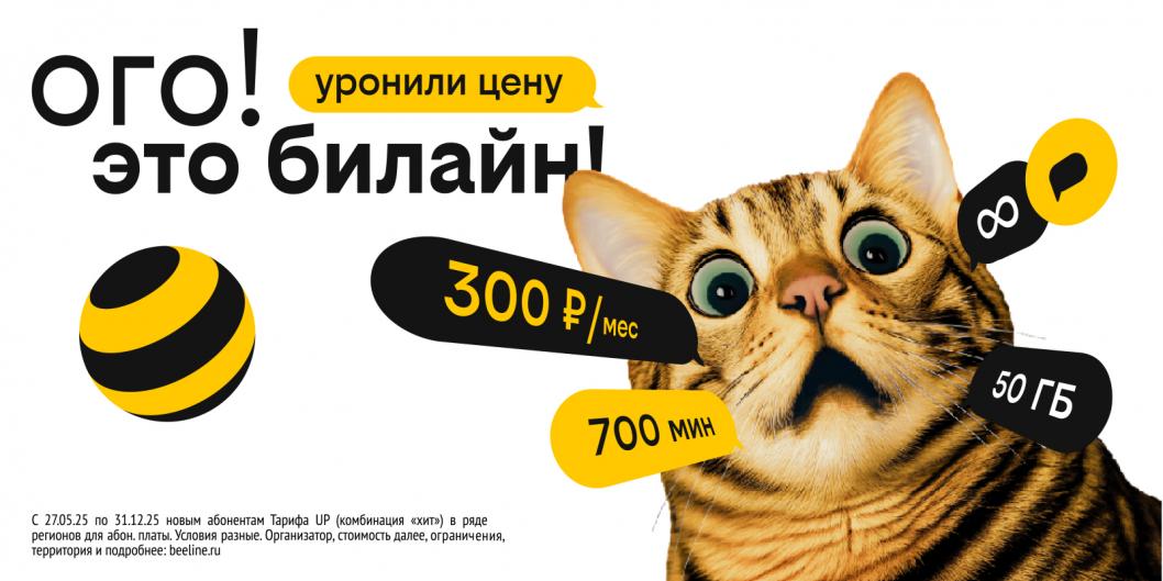 материал и фото предоставлены пресс-службой Билайна