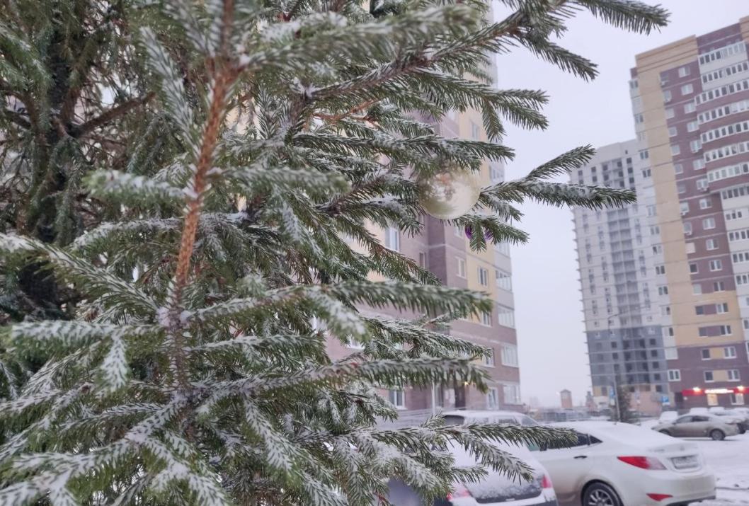 ИА "Тюменская линия"