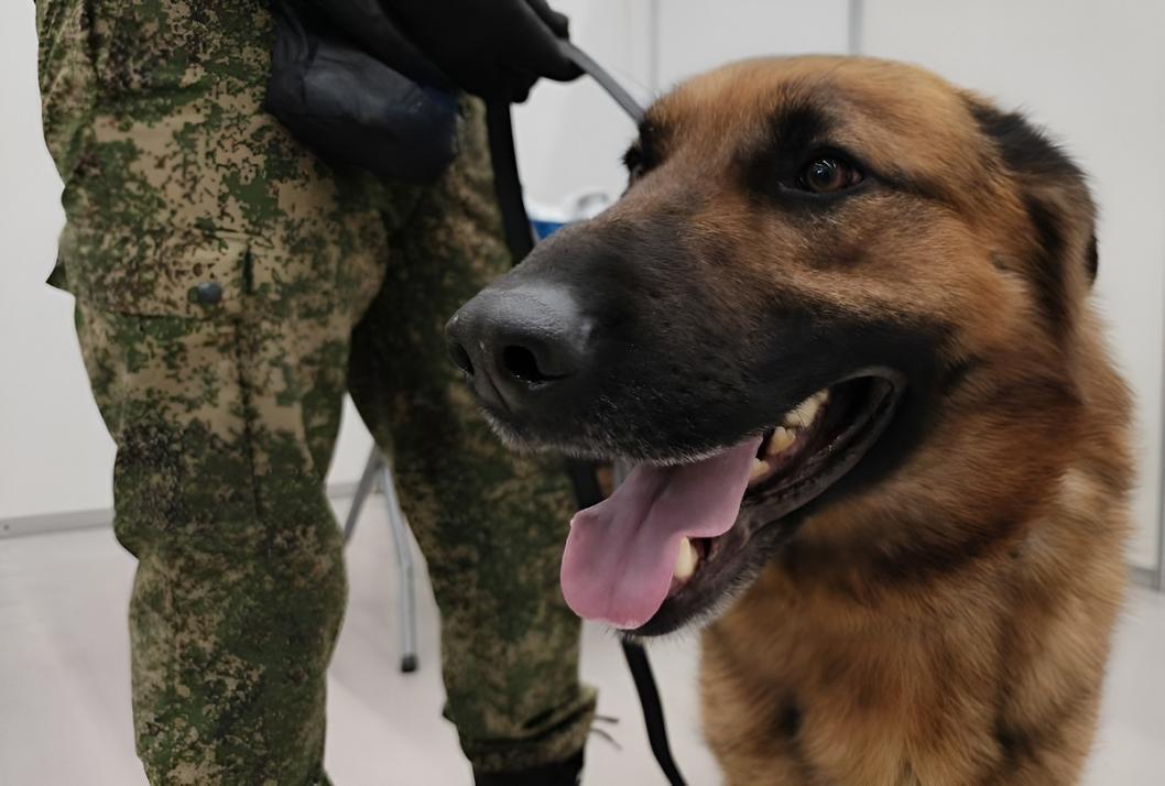 Сергей Елесин, ИА "Тюменская линия" (архив)