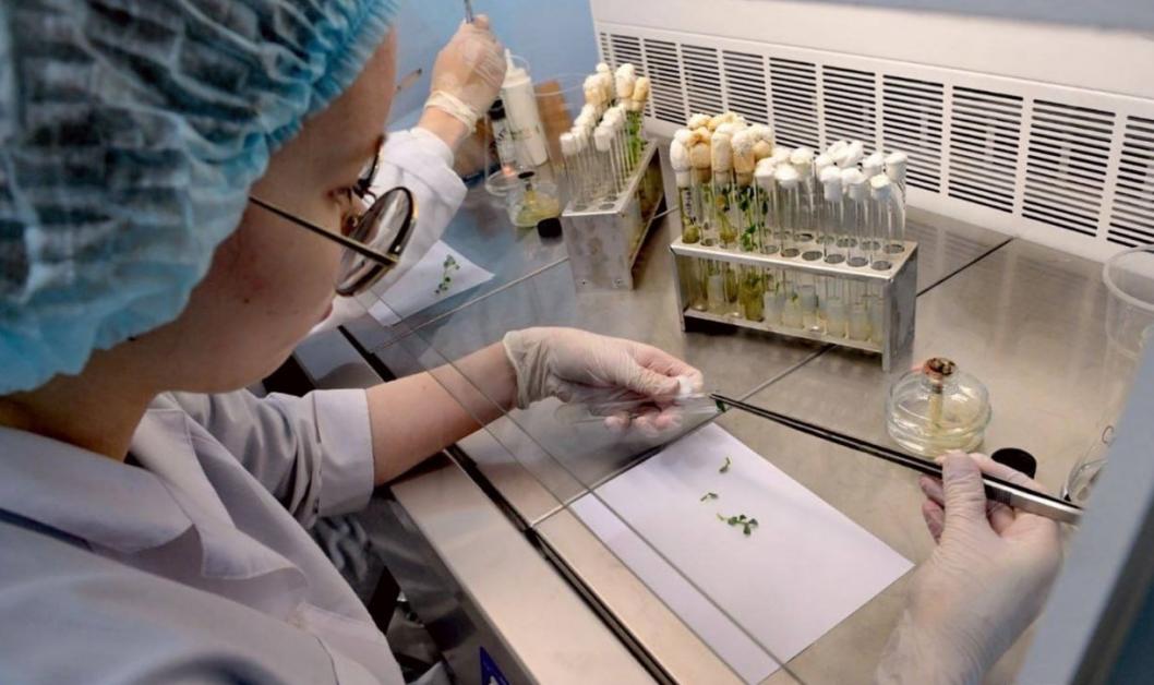 пресс-служба губернатора Тюменской области