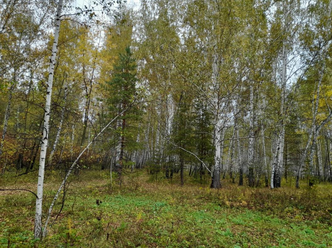 управление Россельхознадзора по Тюменской области, ЯНАО и ХМАО – Югре