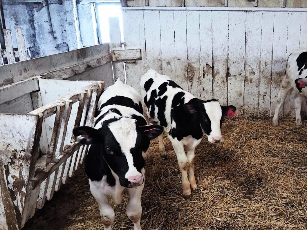 управление Россельхознадзора по Тюменской области, ЯНАО и ХМАО - Югре