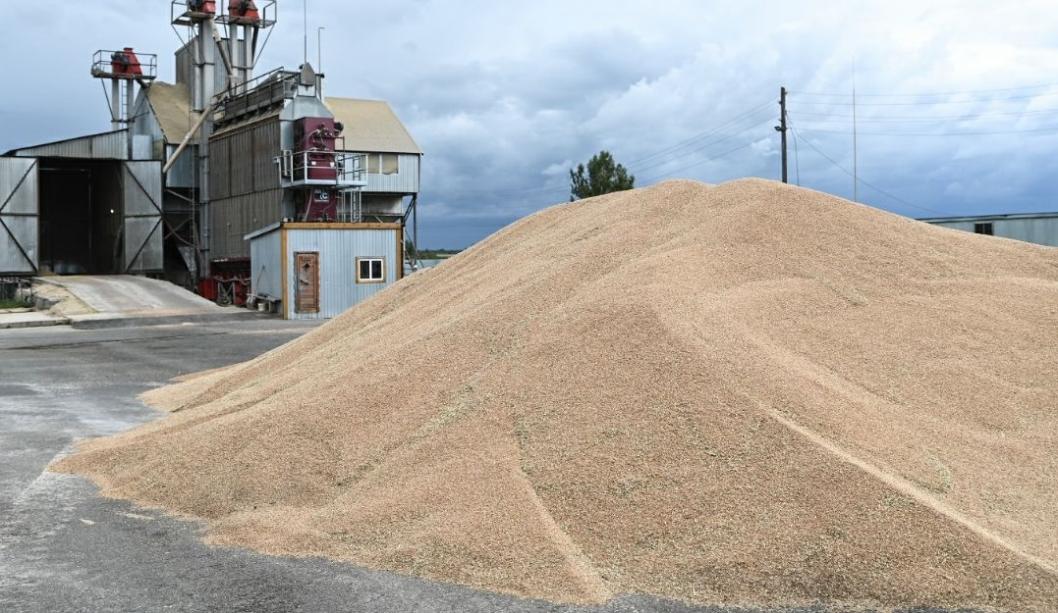 Сергей Елесин, ИА "Тюменская линия"