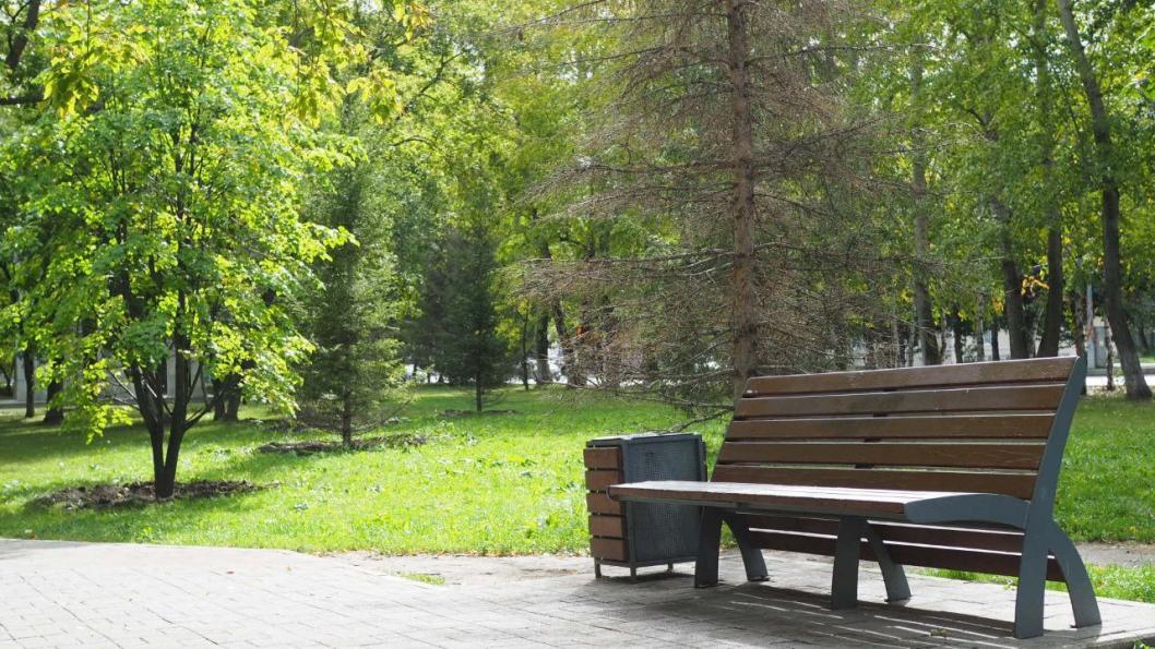 Инна Пахомова, ИА "Тюменская линия"