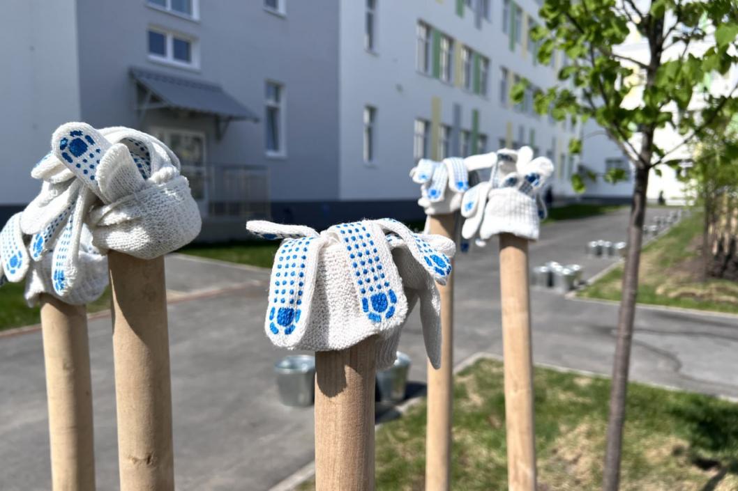 администрация Тюмени