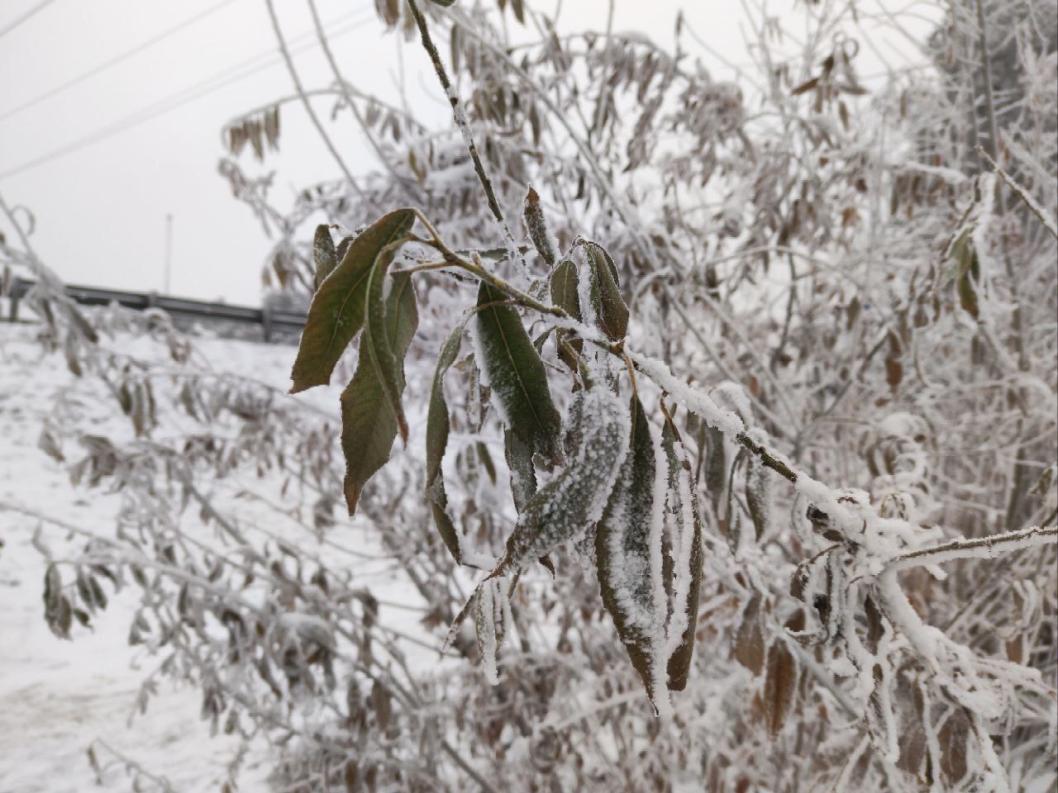ИА "Тюменская линия"