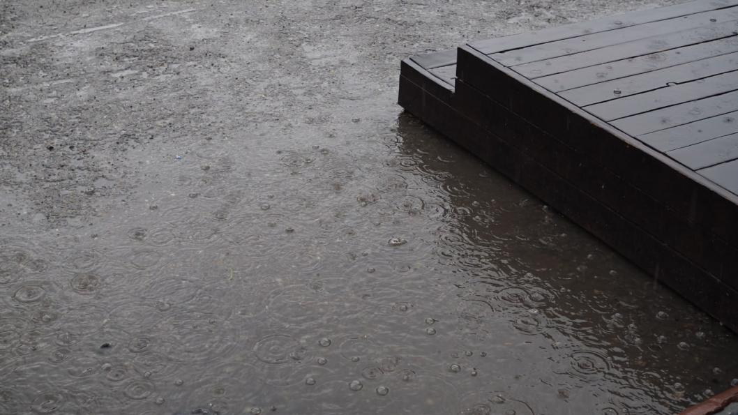 ИА "Тюменская линия"