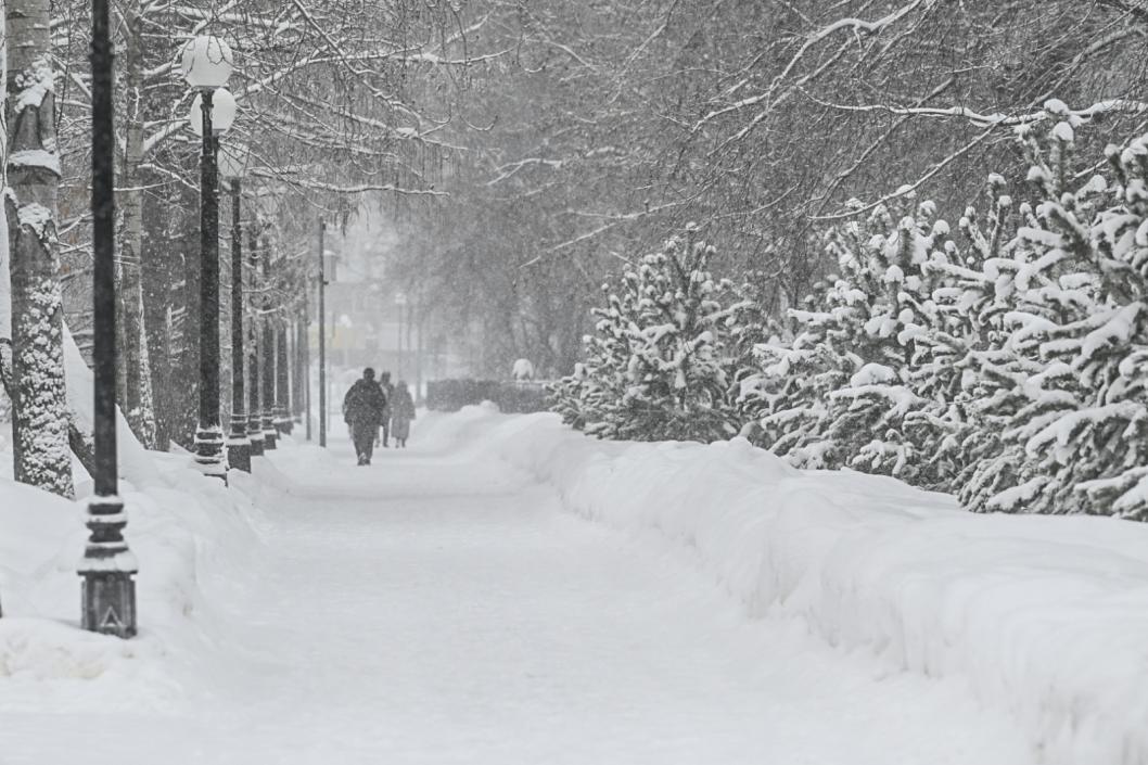 Сергей Елесин, ИА "Тюменская линия"