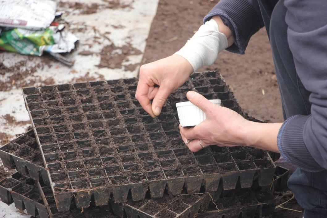 из Telegram-канала главы Тюменского района Ольги Зиминой