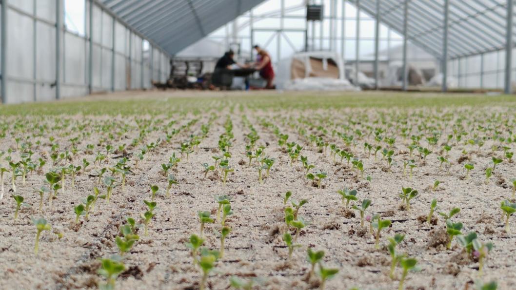 из Telegram-канала главы Тюменского района Ольги Зиминой