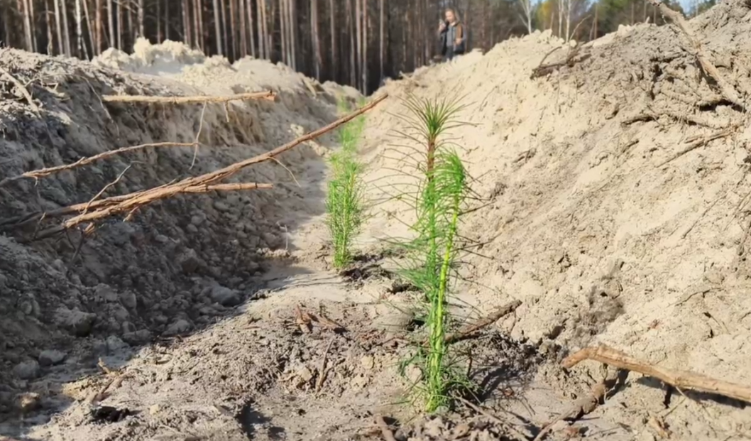 ИА "Тюменская линия"