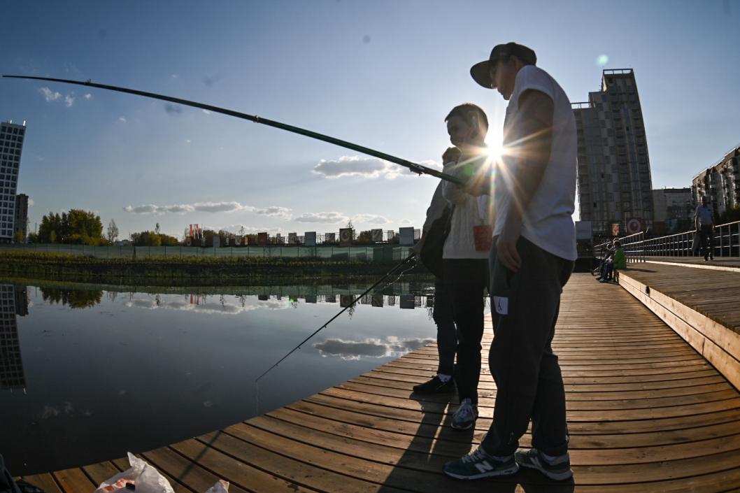 Сергей Елесин, ИА "Тюменская линия"