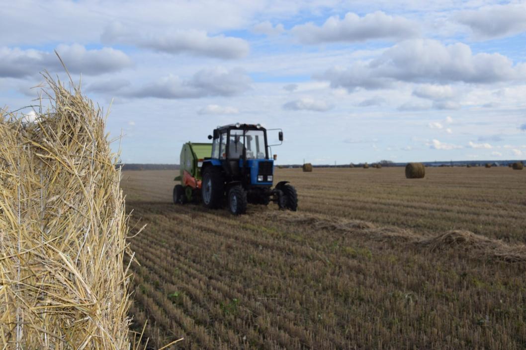 администрация Исетского округа