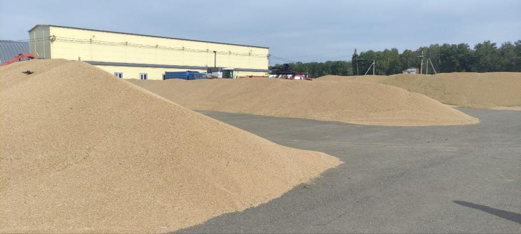 из Telegram-канала главы Абатского округа Игоря Васильева 