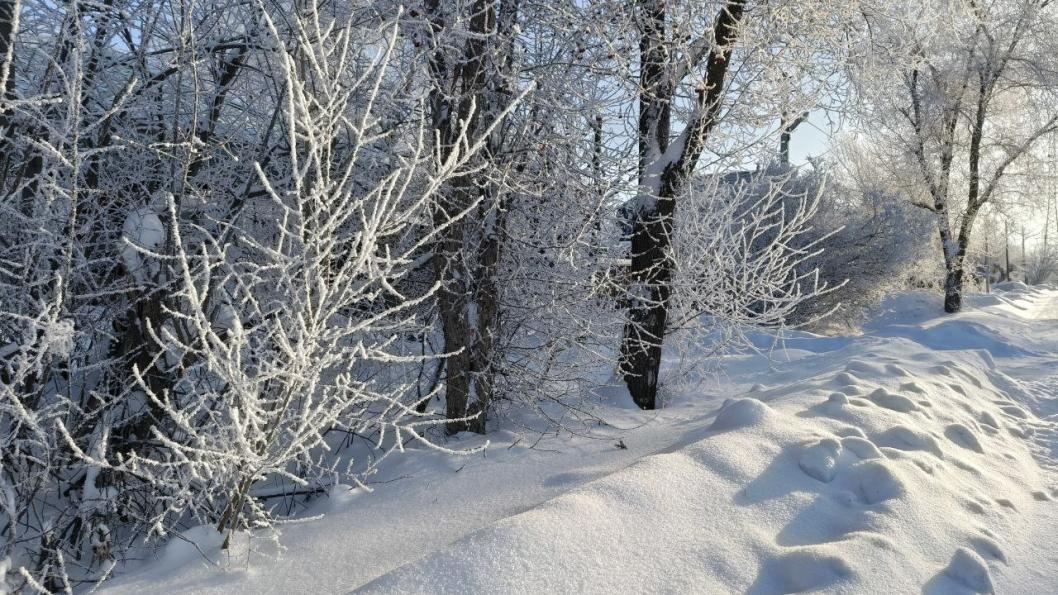 Инна Пахомова, ИА "Тюменская линия"