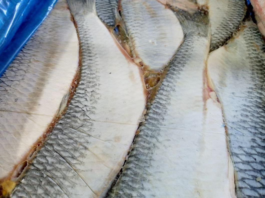 Оксана Корнеенкова, ИА "Тюменская линия"