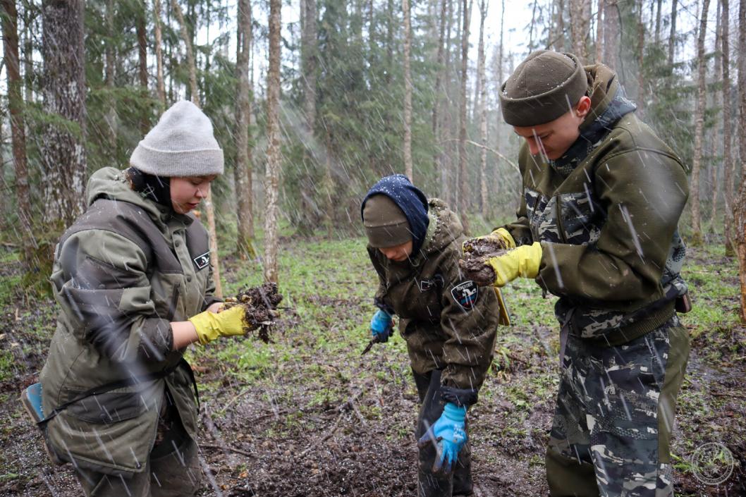 Тюменский областной поисковый центр