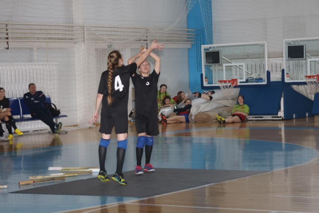 Федерация лапты Тюменской области