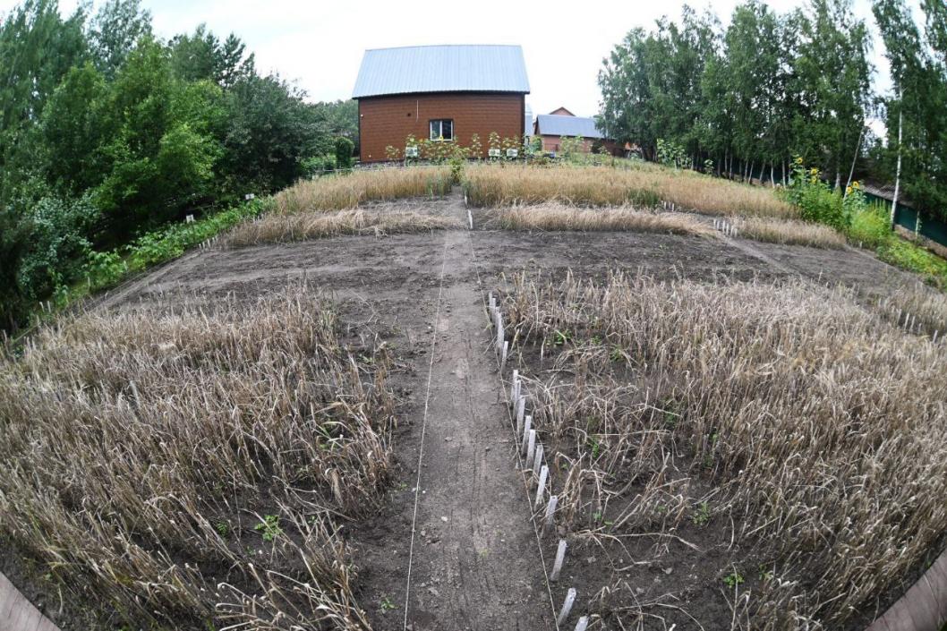 Сергей Елесин, ИА "Тюменская линия"