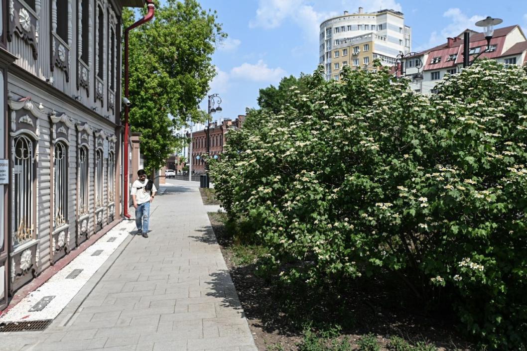 Сергей Елесин, ИА "Тюменская линия"