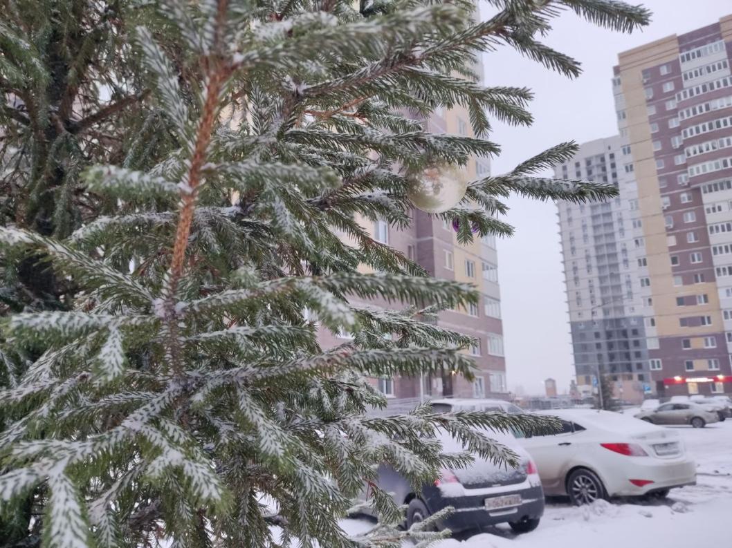 ИА "Тюменская линия"