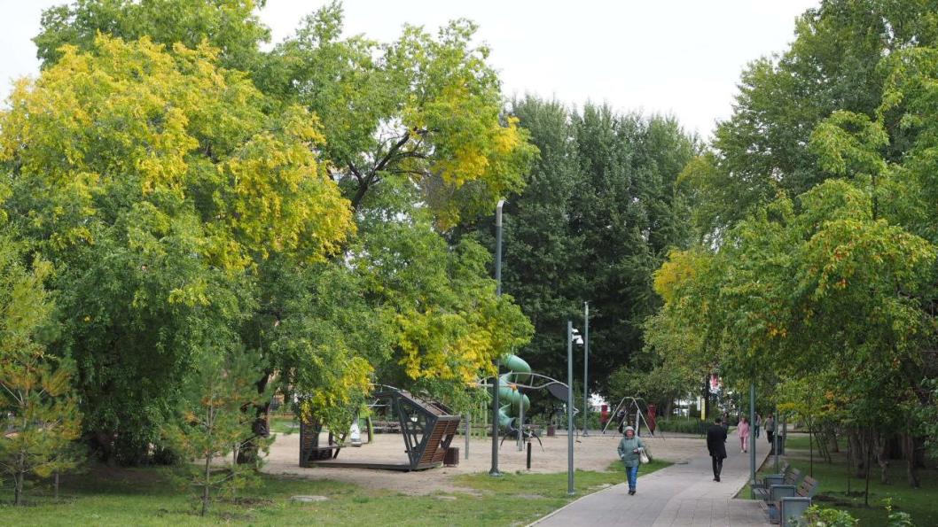 Инна Пахомова, ИА "Тюменская линия"