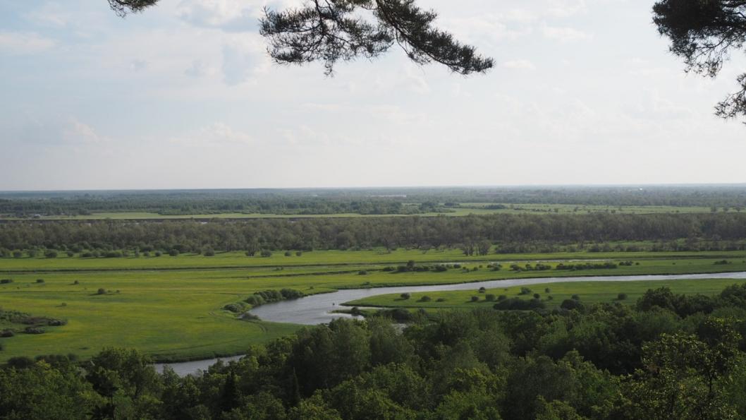 Инна Пахомова, ИА "Тюменская линия"