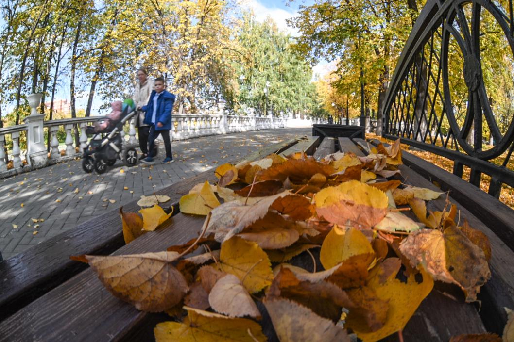 Сергей Елесин, ИА "Тюменская линия"