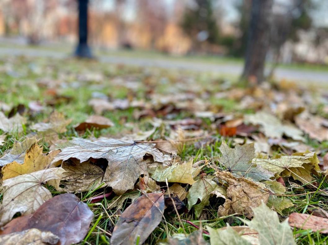 ИА "Тюменская линия"