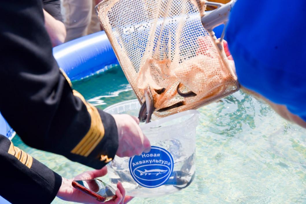 Нижнеобское ТУ Росрыболовства