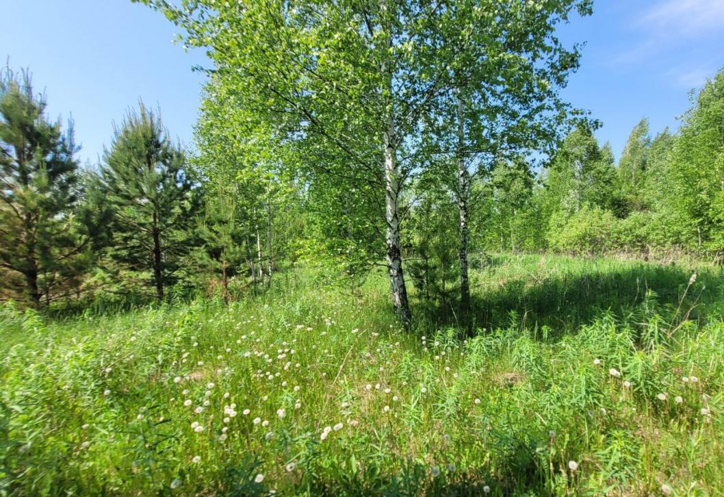 управление Россельхознадзора по Тюменской области, ЯНАО и ХМАО - Югре