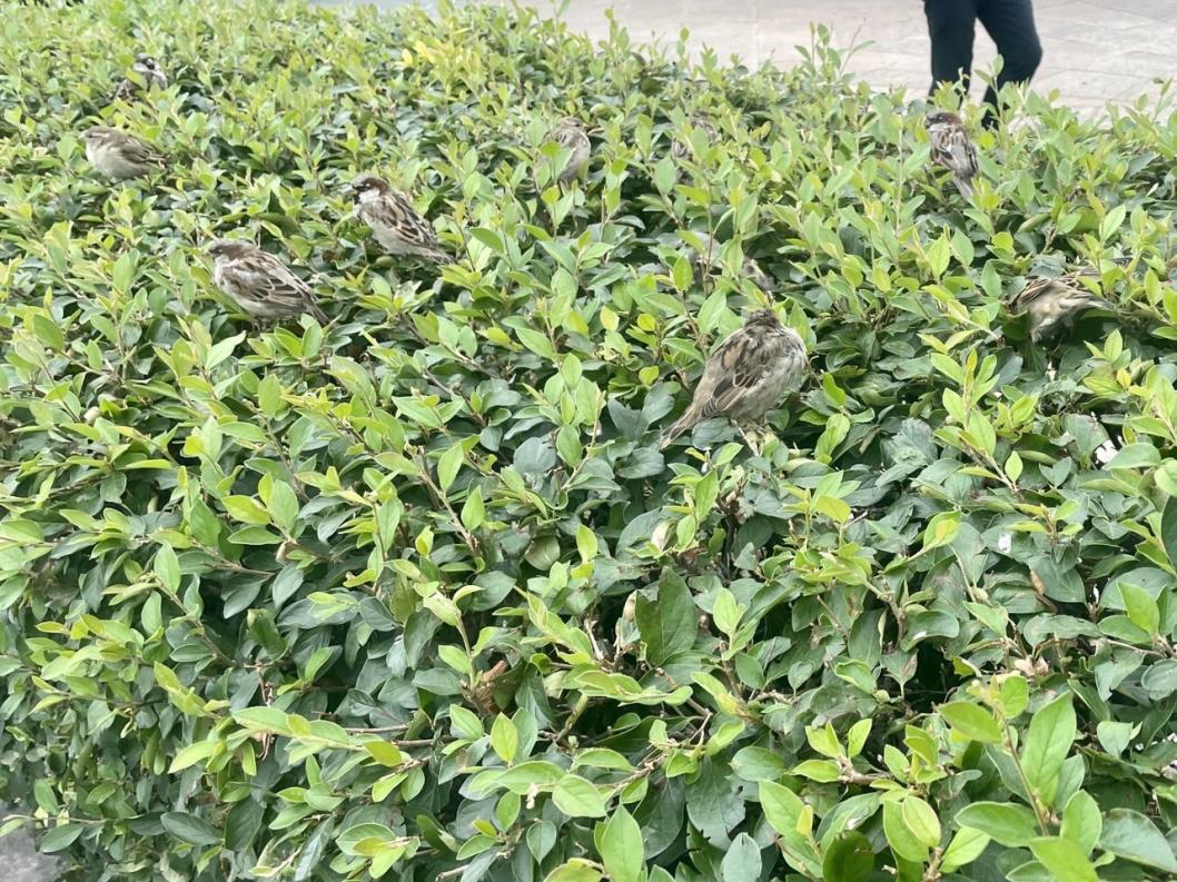 ИА "Тюменская линия"