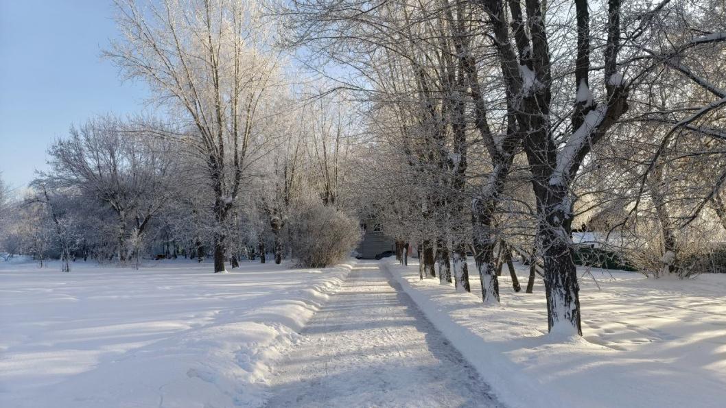 Инна Пахомова, ИА "Тюменская линия"