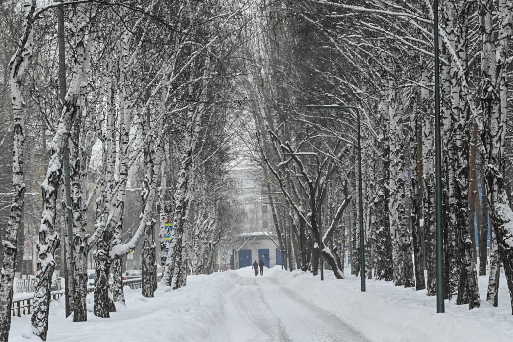 Сергей Елесин, ИА "Тюменская линия"
