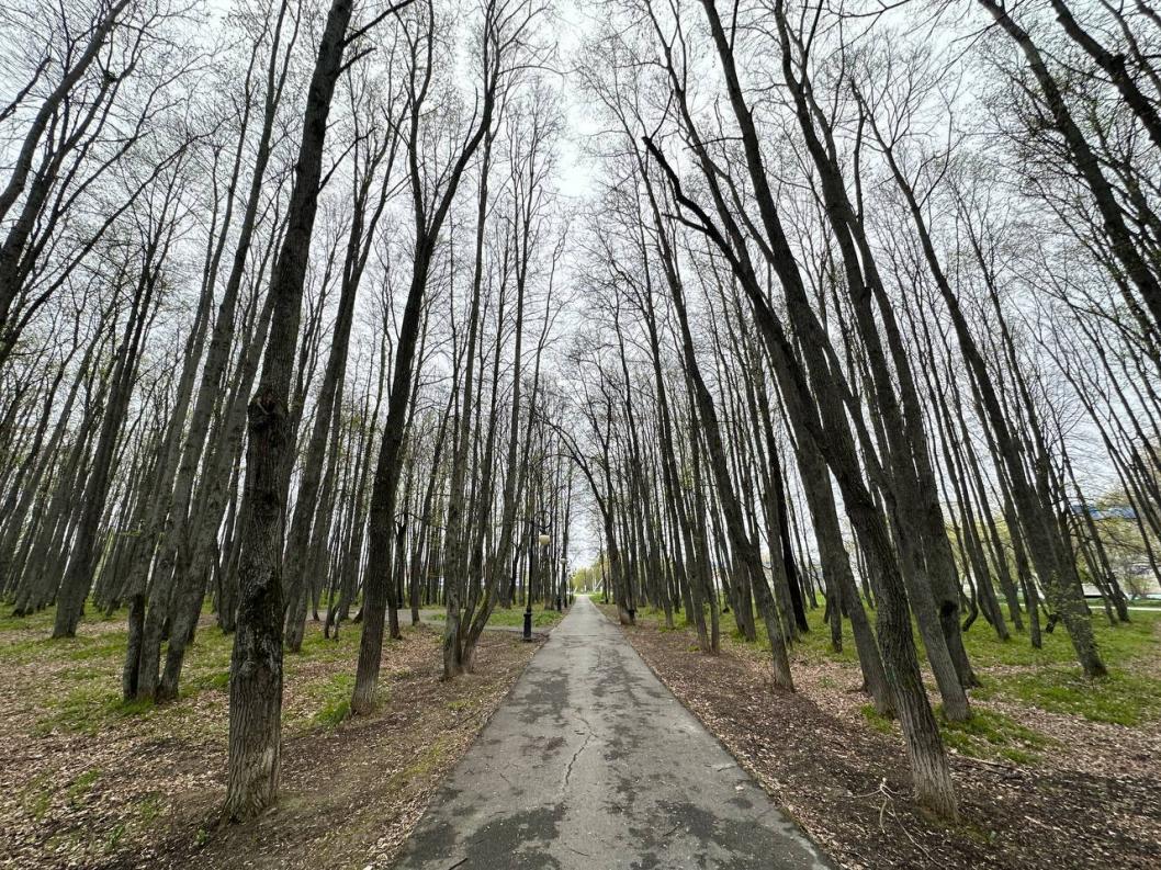 ТГ-канал Петра Вагина