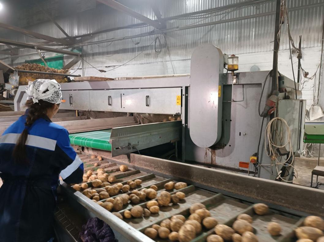 ИА "Тюменская линия"