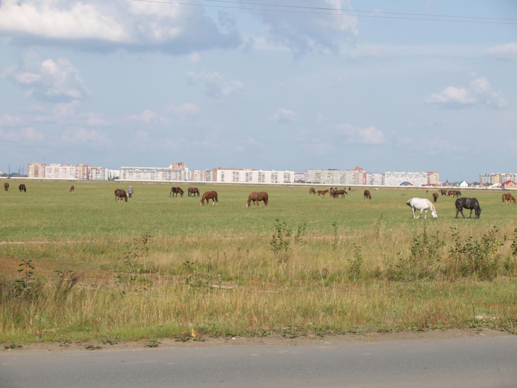 Виктор Сергеев, ИА "Тюменская линия"