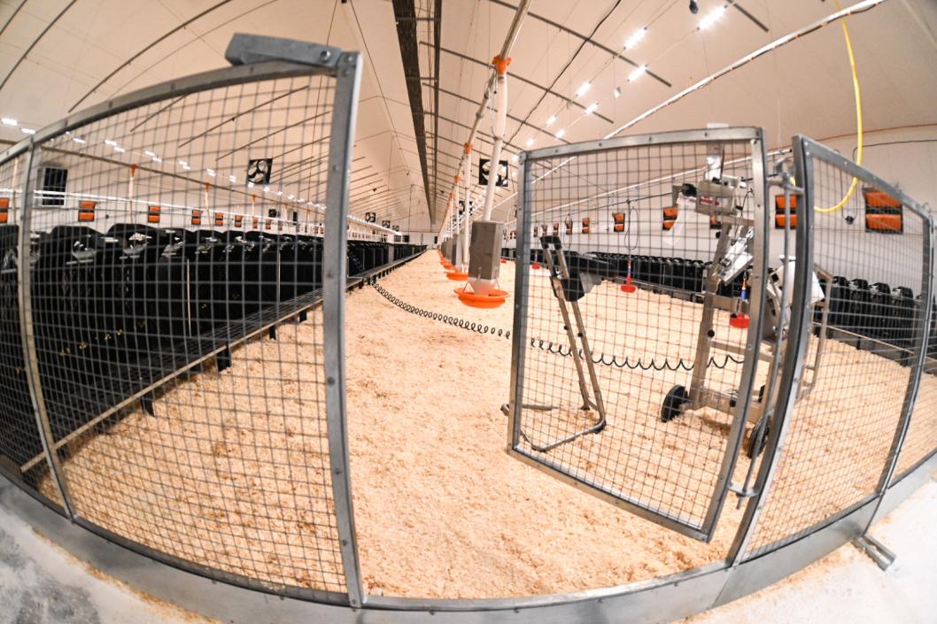 Сергей Елесин, ИА "Тюменская линия"