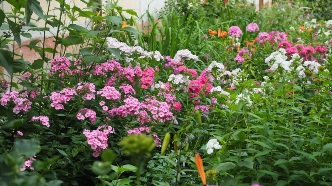 ИА Тюменская линия