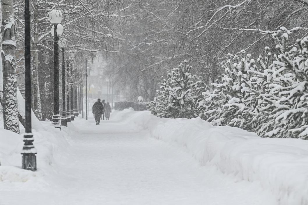 Сергей Елесин, ИА "Тюменская линия"