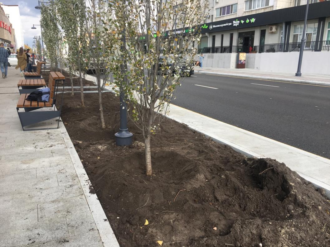 Николай Ступников, ИА "Тюменская линия"