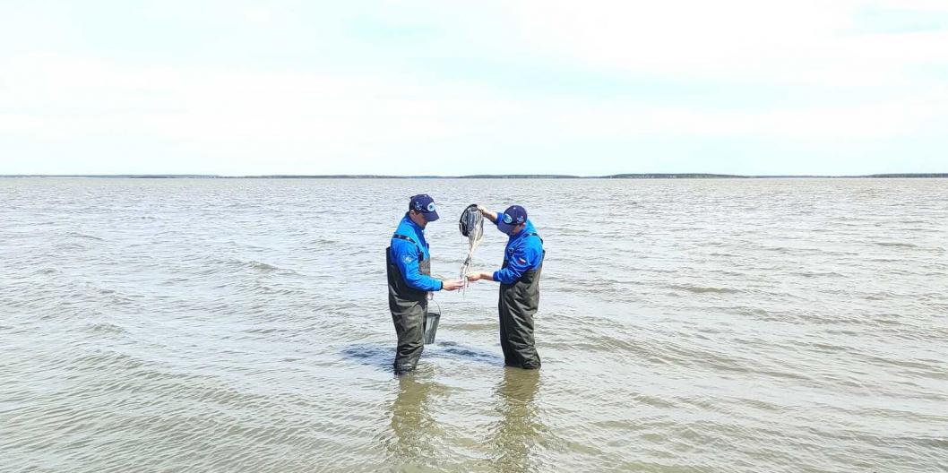 Тюменский филиал ВНИРО