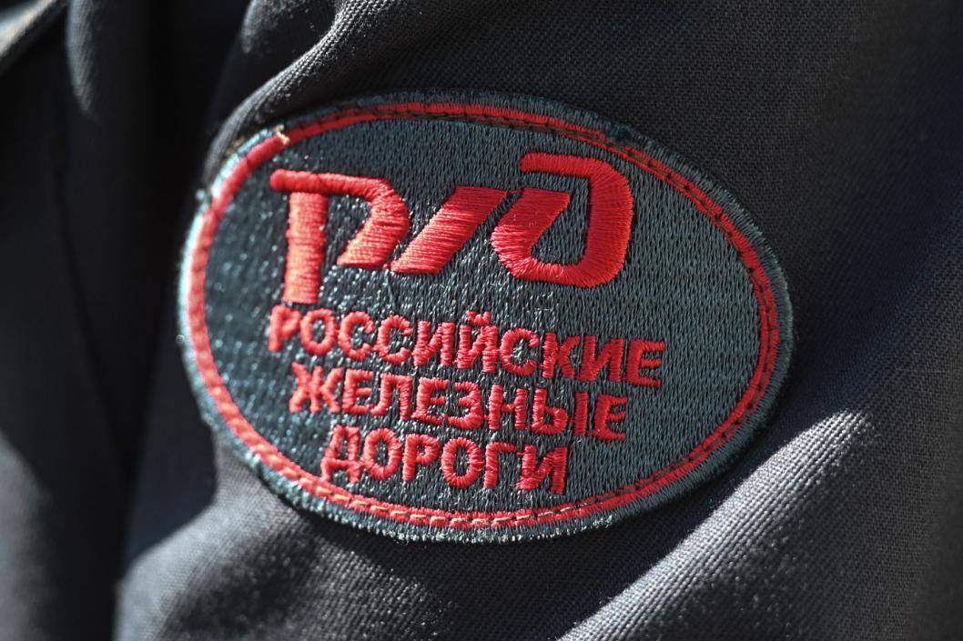 Сеть высокоскоростных железнодорожных магистралей в России построят к 2050 году