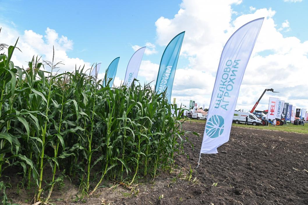 Сергей Елесин, ИА "Тюменская линия"