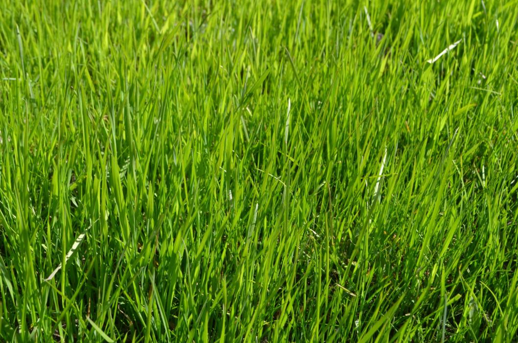 Виктор Сергеев, ИА "Тюменская линия"