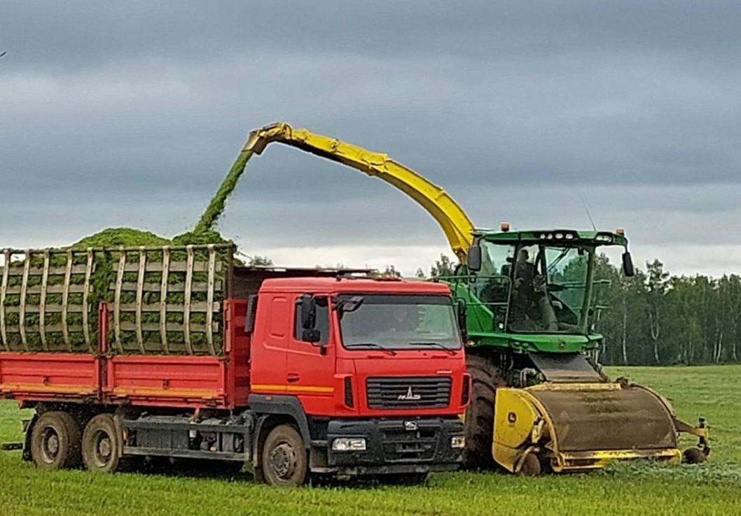 администрация Викуловского района