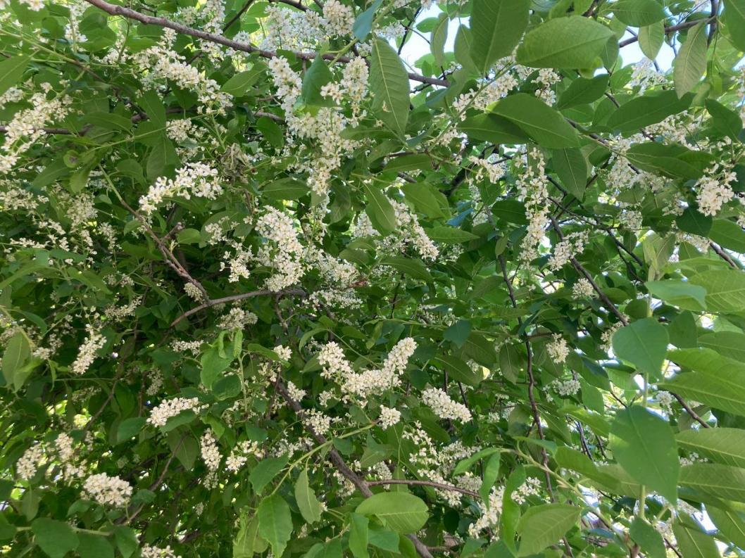 Информационный центр правительства Тюменской области