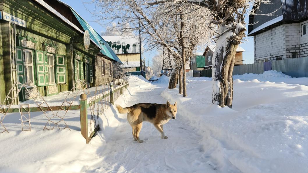 Инна Пахомова, ИА "Тюменская линия" (архив)