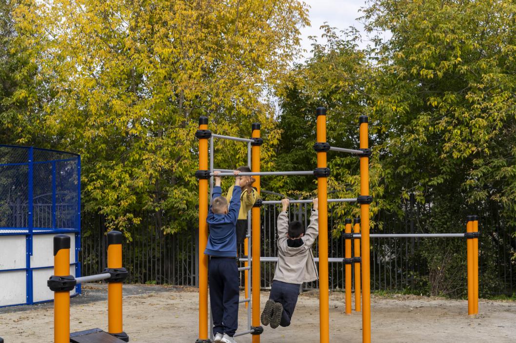 компания Брусника